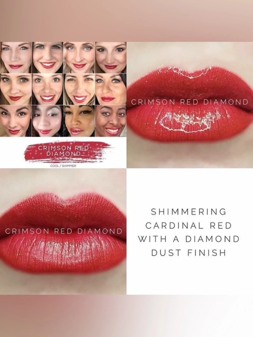 LipSense new sealed